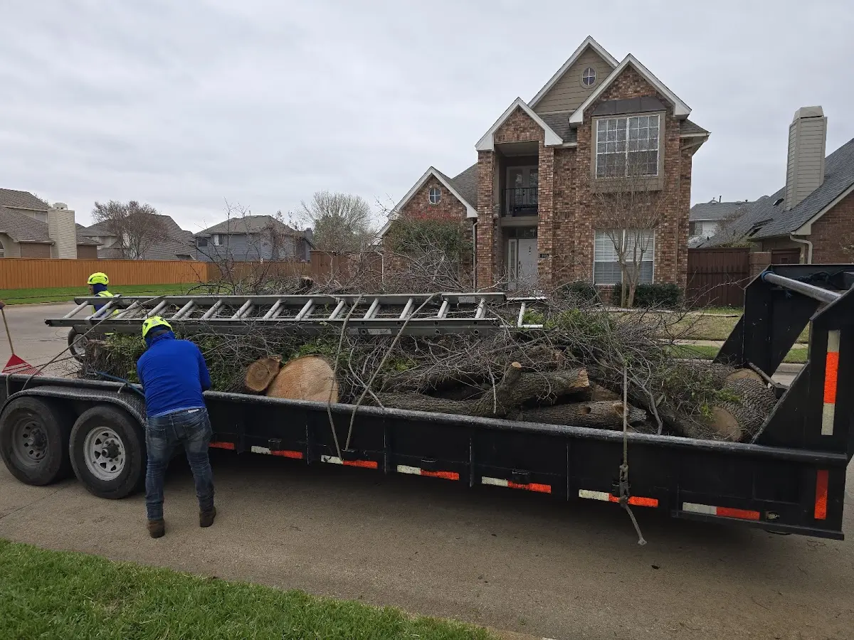 Expert Tree Fertilization with proper safety equipment in Greenville